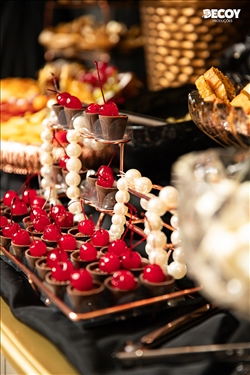 Festa das Estrelas 2025 - Rondônia 