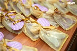 Festa das Estrelas 2025 - Rondônia 