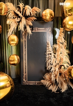 Festa das Estrelas 2025 - Rondônia 